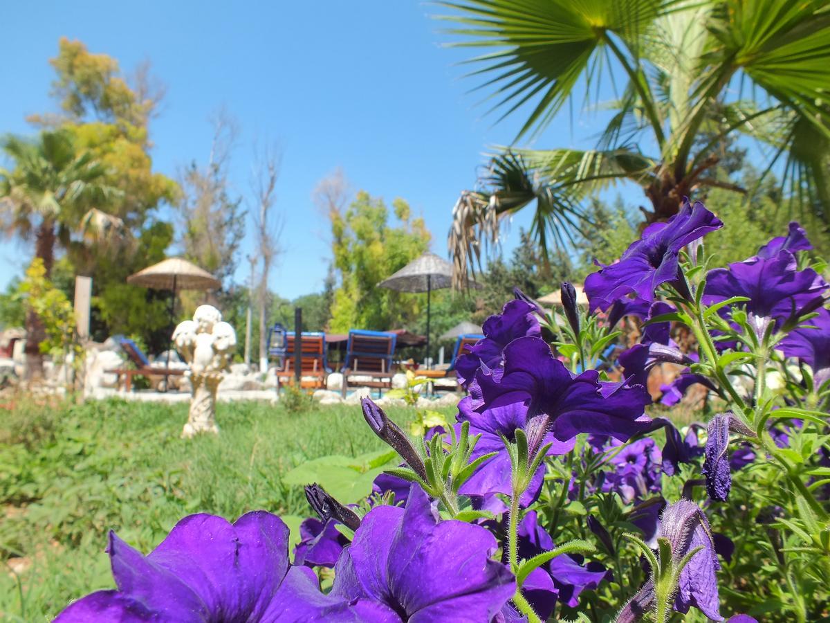 Utopia Lodge Hotel Oludeniz Exterior foto