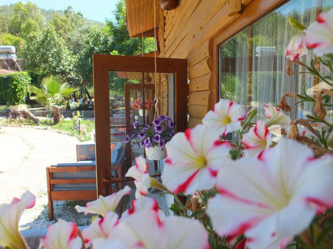 Utopia Lodge Hotel Oludeniz Exterior foto